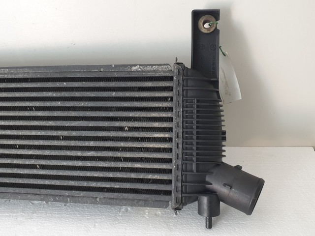 507224 Nissan Navara D40, 2006, Intercooler, Intercooler Hűtő, 14461-EB360