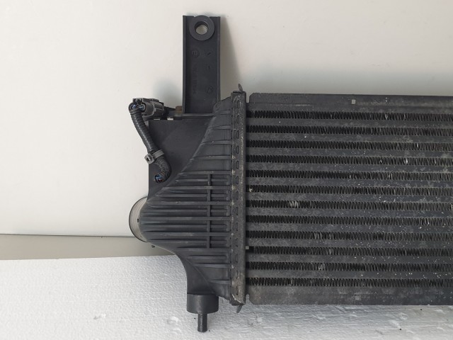 507226 Nissan Navara D40, 2005, Intercooler, Intercooler Hűtő, 14461-EB360