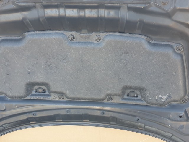 511234 Nissan Juke, 2011, Motorháztető.