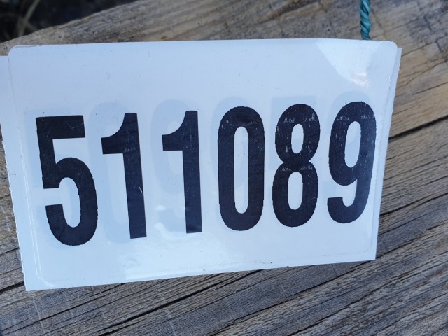 511089 Renault Master 2.3 Dci, 2014, Első Stabilizátor Rúd, 