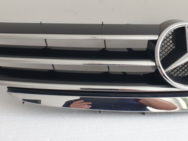 512561 Mercedes A, A169, 2006, Hűtőrács, Díszrács, A1698800983.