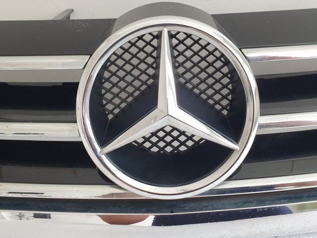 512561 Mercedes A, A169, 2006, Hűtőrács, Díszrács, A1698800983.