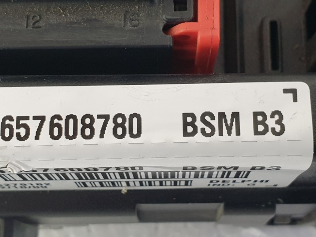 512673 Peugeot 206, Biztosítéktábla, 9657608780 Bsm B3, Delphi.