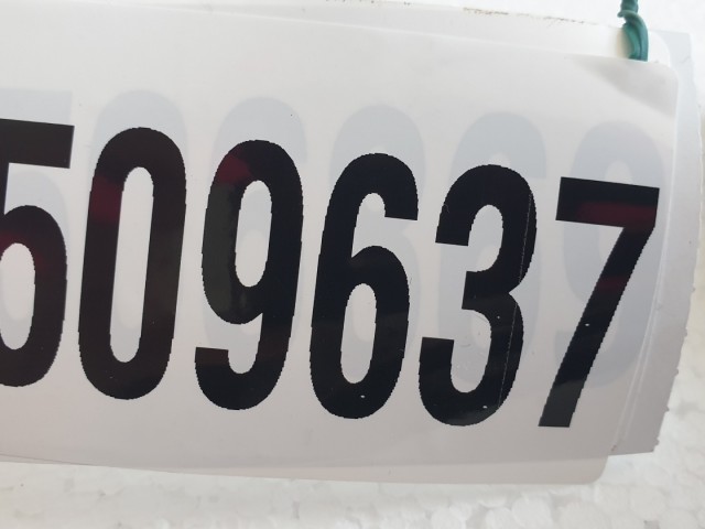 509637 Renault Megane 2, Scenic 2, Belső Világítás, 8200073234.